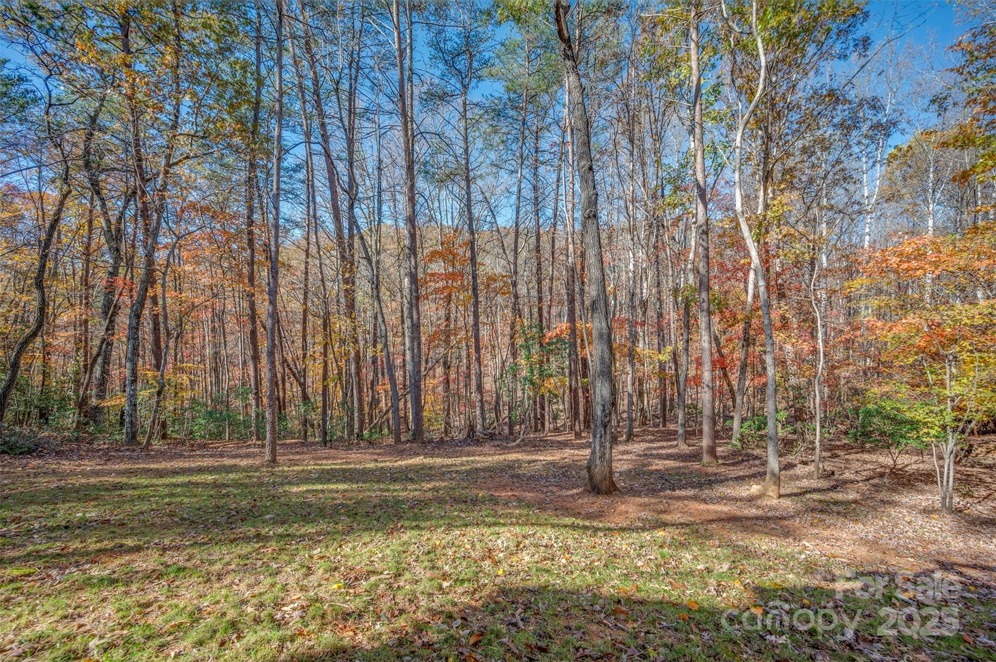 492 Mountain View Drive Columbus NC 28722