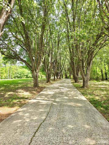 100 Steffey Lane Taylorsville NC 28681