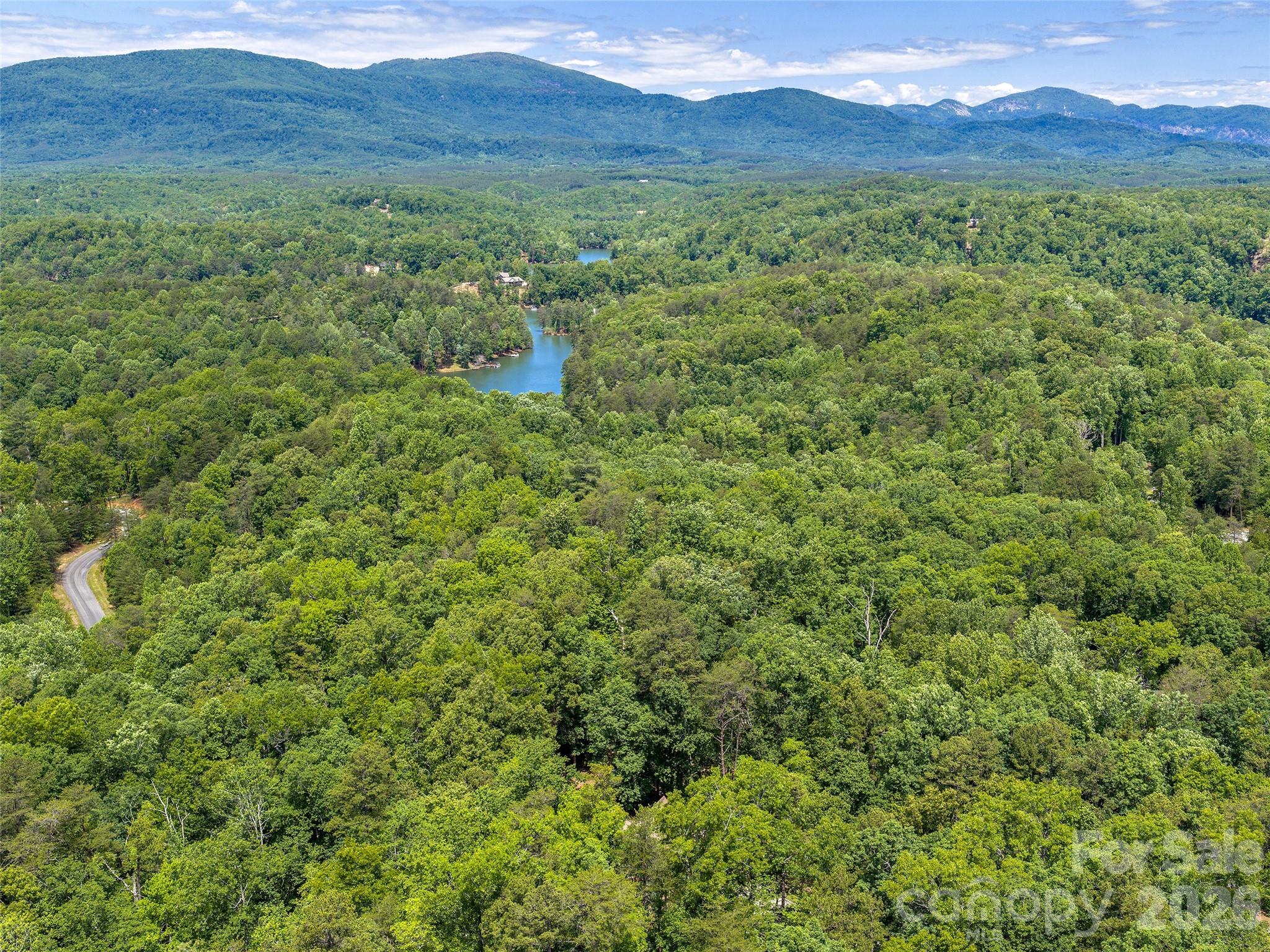 413 Green Hills Road Mill Spring NC 28756