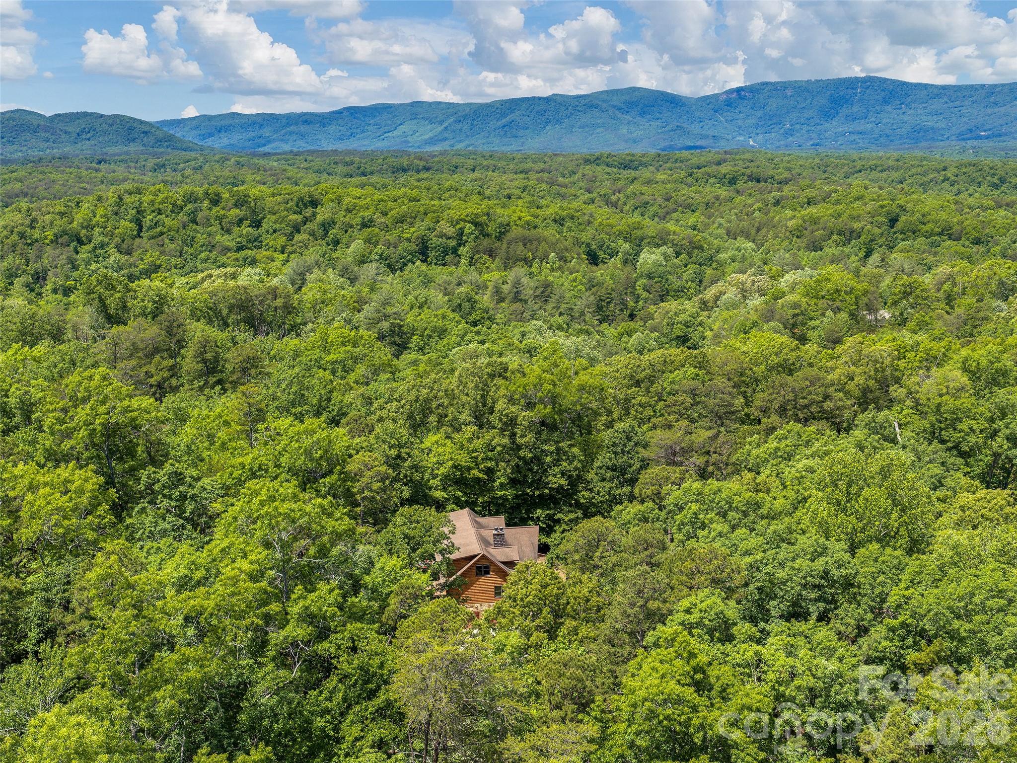 413 Green Hills Road Mill Spring NC 28756