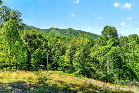 298 Wolf Crossing Bakersville NC 28705