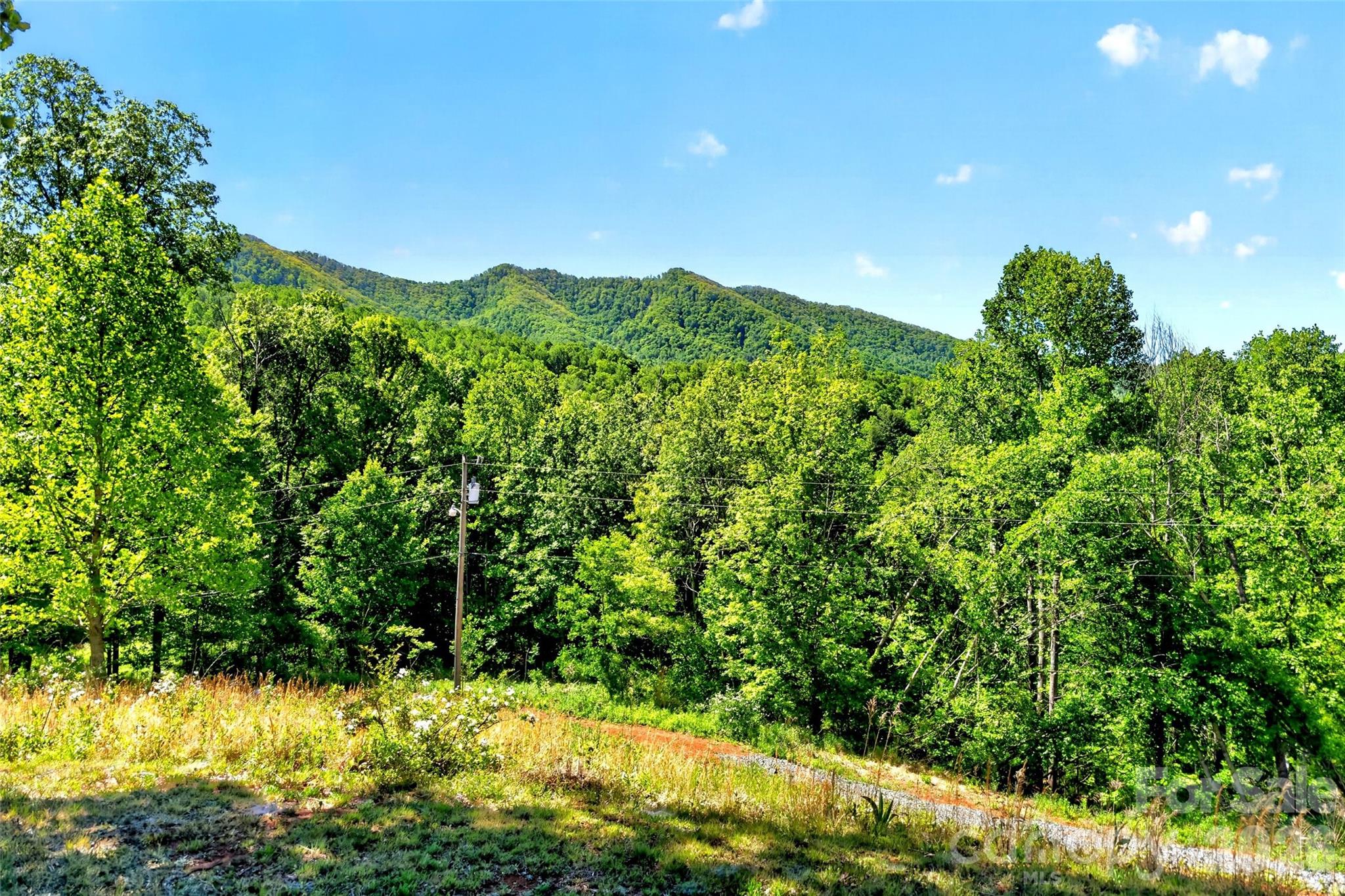 298 Wolf Crossing Bakersville NC 28705