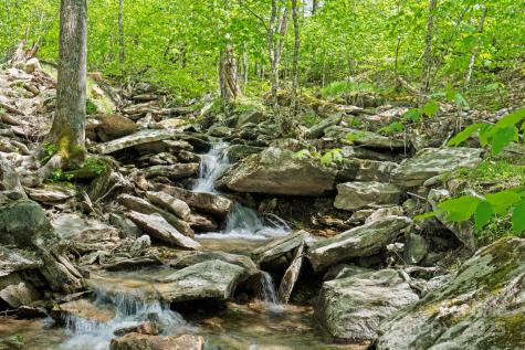 140 Spruce Hollow Road Beech Mountain NC 28604