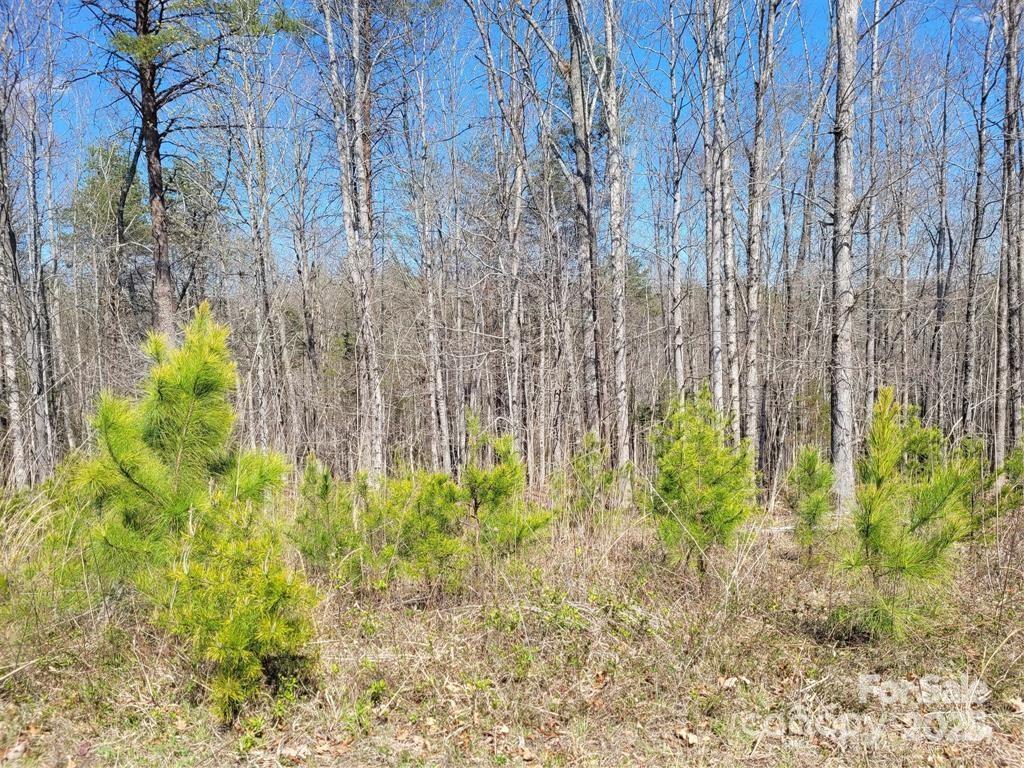 0 Boy Scout Road Rutherfordton NC 28139