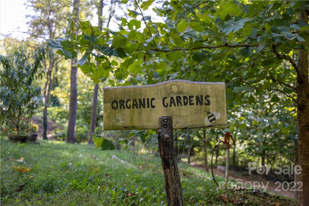 29 Orrinel Way Asheville NC 28806