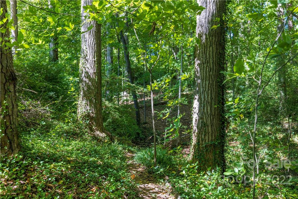 29 Orrinel Way Asheville NC 28806
