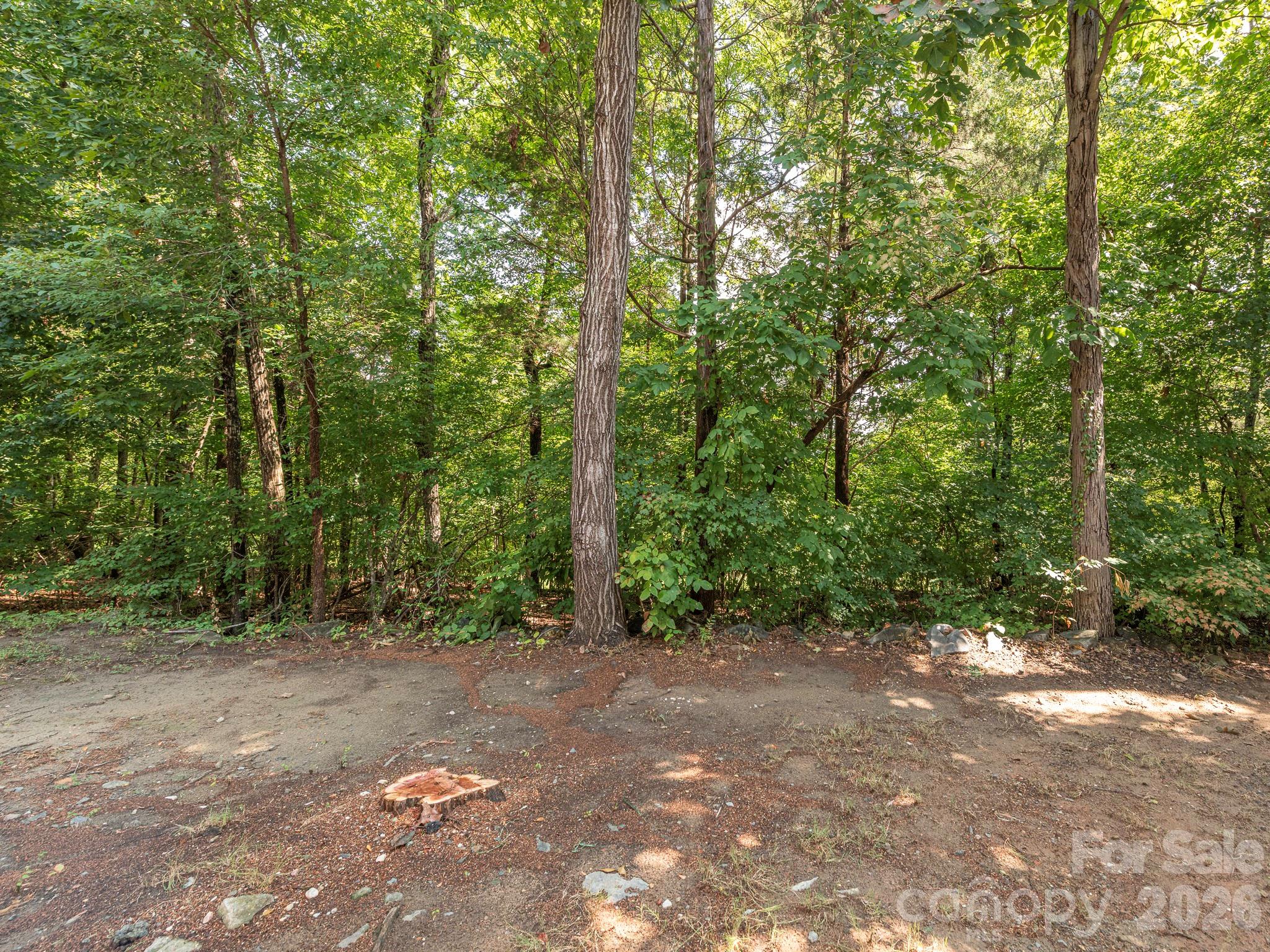 1554 Maypine Commons Way Rock Hill SC 29732