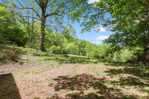 1007 N Fork Road Barnardsville NC 28709