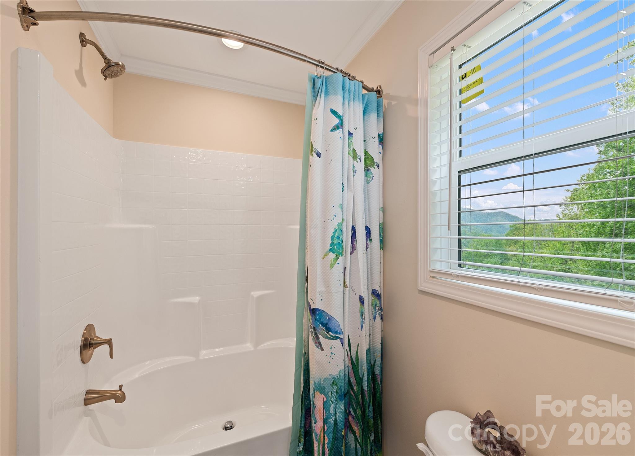 328 Mountain Lion Trail Maggie Valley NC 28751