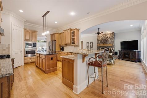 3946 Lake Spring Cove Court Denver NC 28037