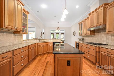 3946 Lake Spring Cove Court Denver NC 28037