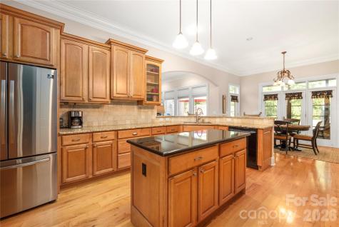 3946 Lake Spring Cove Court Denver NC 28037