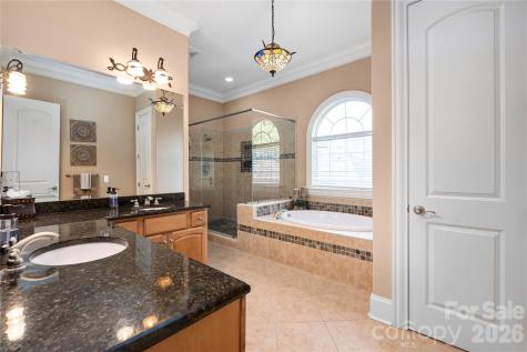 3946 Lake Spring Cove Court Denver NC 28037