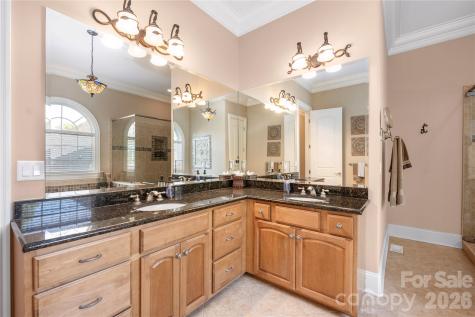 3946 Lake Spring Cove Court Denver NC 28037