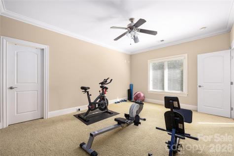 3946 Lake Spring Cove Court Denver NC 28037