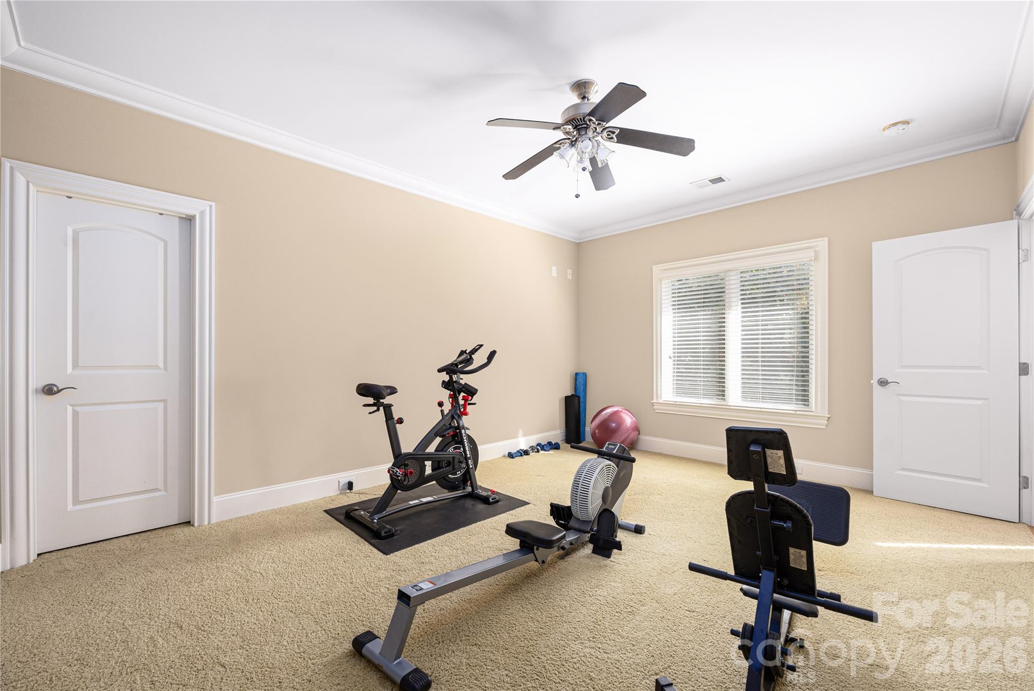 3946 Lake Spring Cove Court Denver NC 28037
