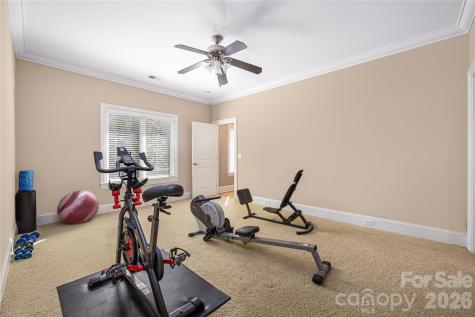 3946 Lake Spring Cove Court Denver NC 28037