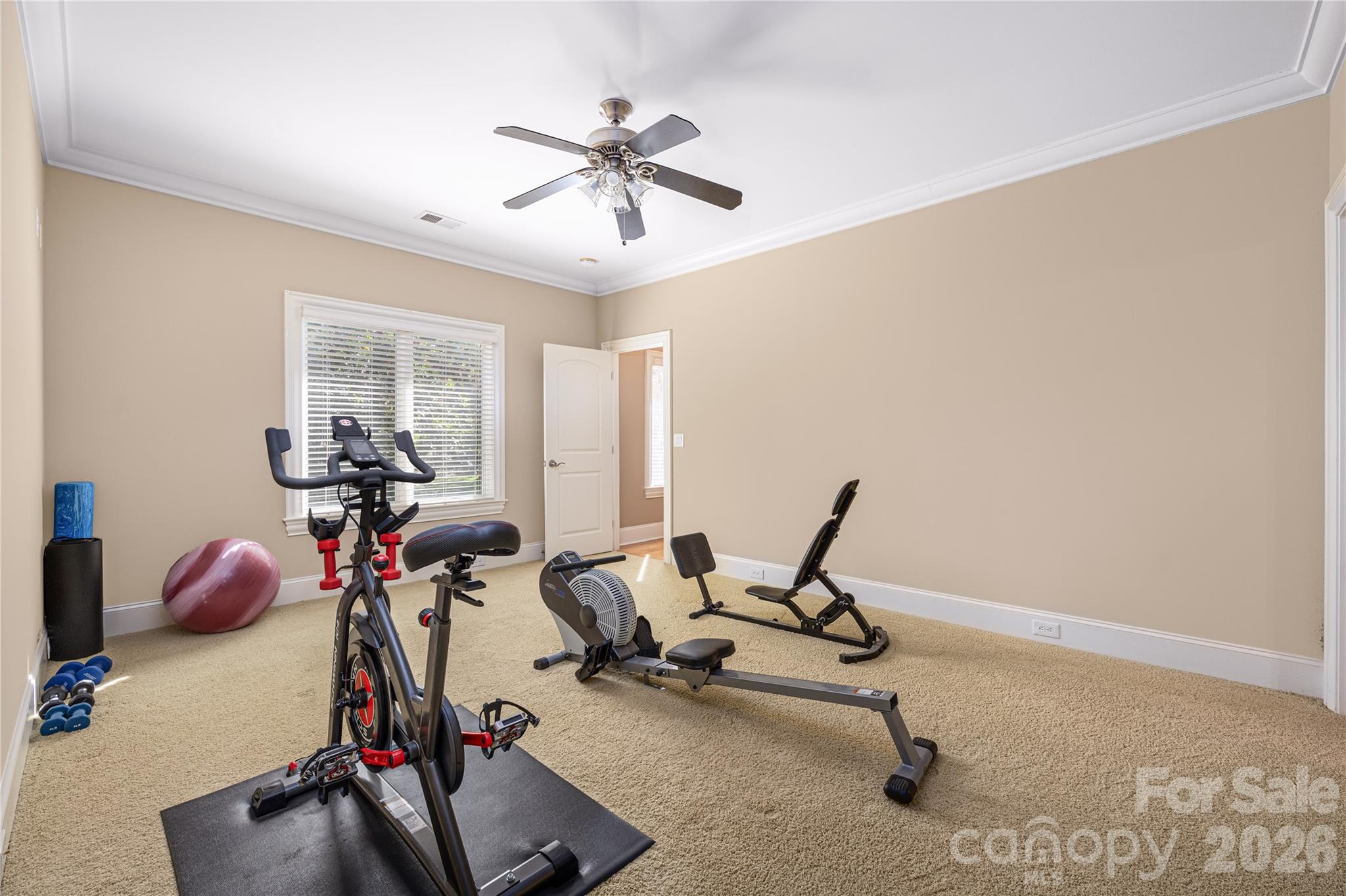 3946 Lake Spring Cove Court Denver NC 28037