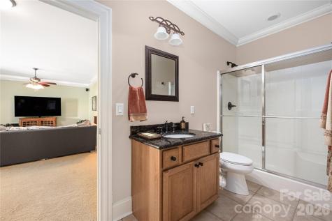 3946 Lake Spring Cove Court Denver NC 28037