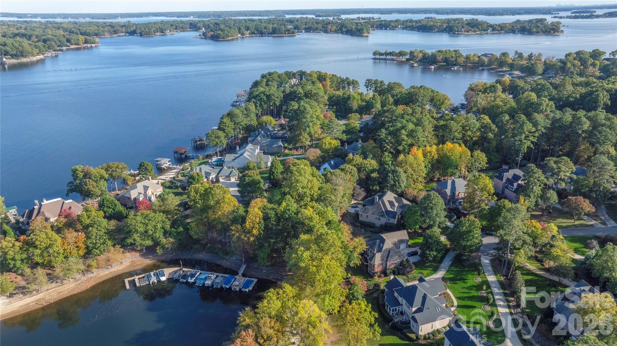 3946 Lake Spring Cove Court Denver NC 28037