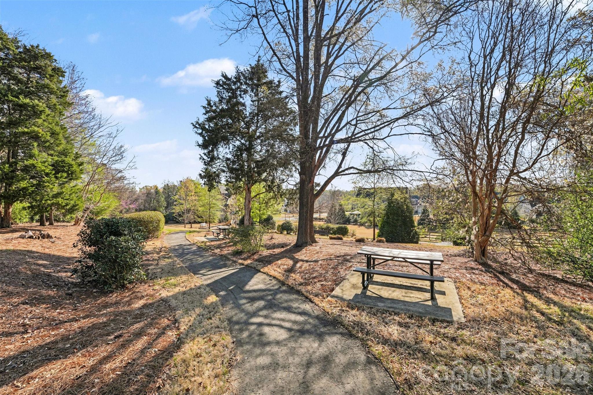 12409 Cranberry Glades Drive Cornelius NC 28031