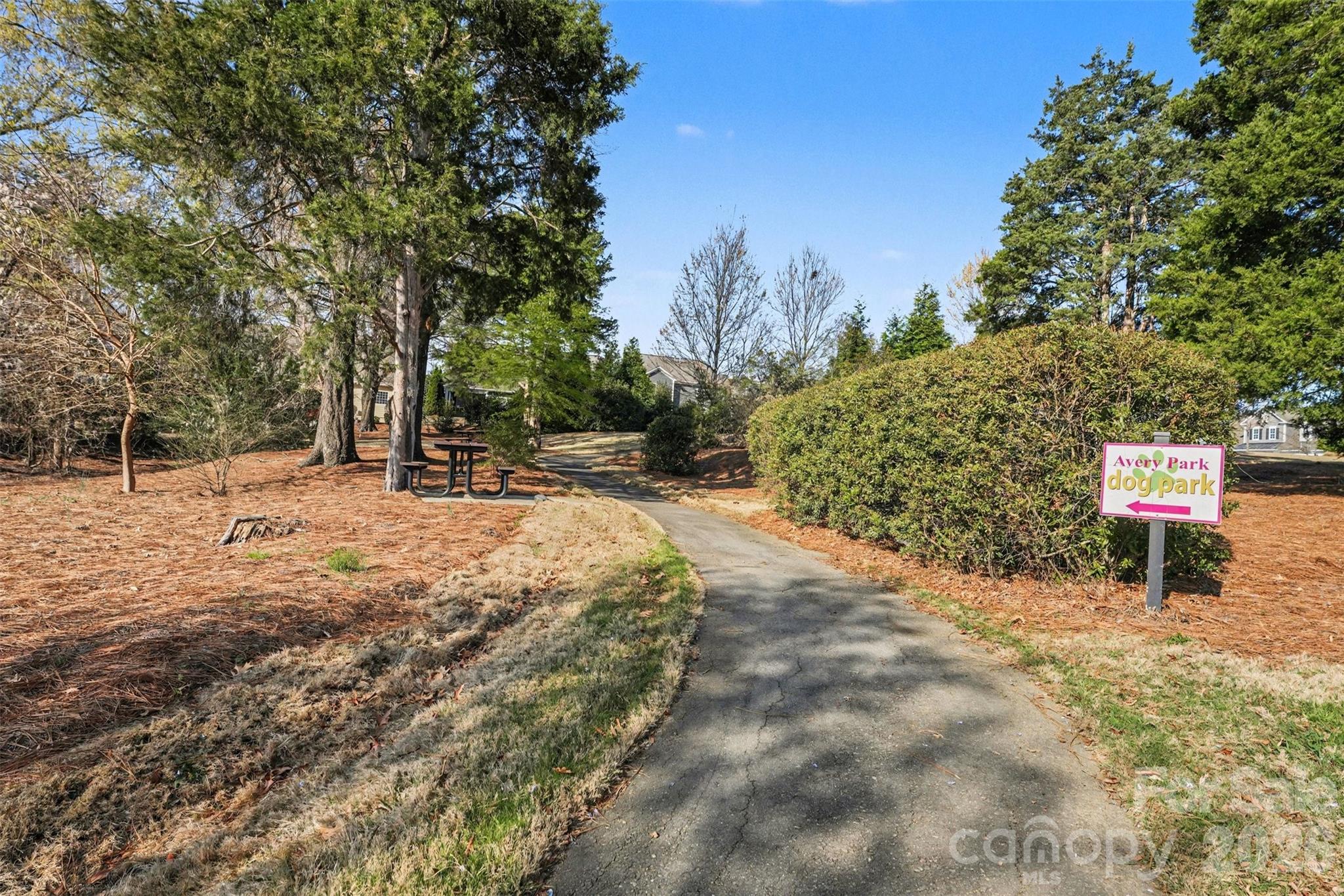 12409 Cranberry Glades Drive Cornelius NC 28031
