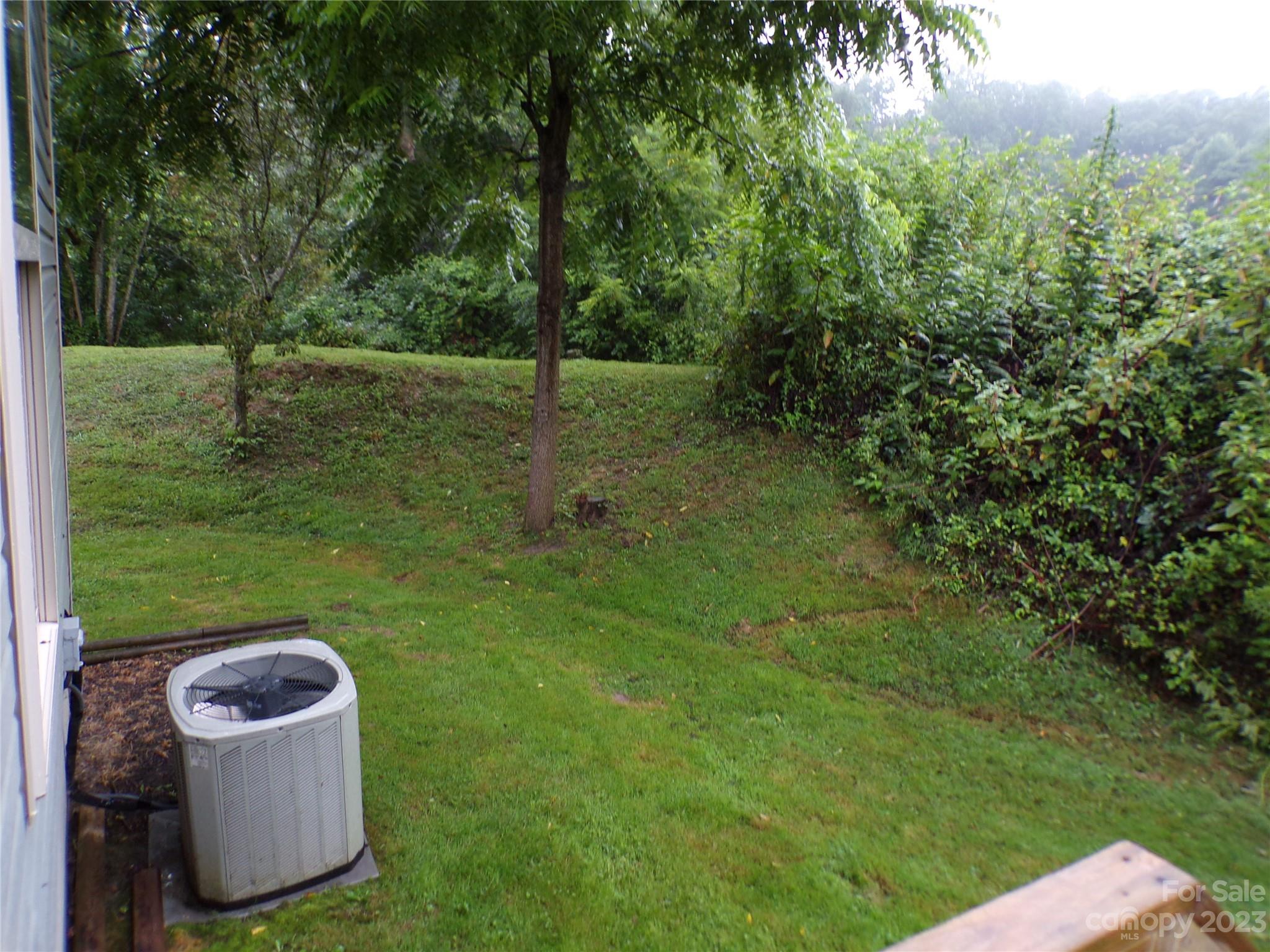 111 Pinkie Lane Canton NC 28716