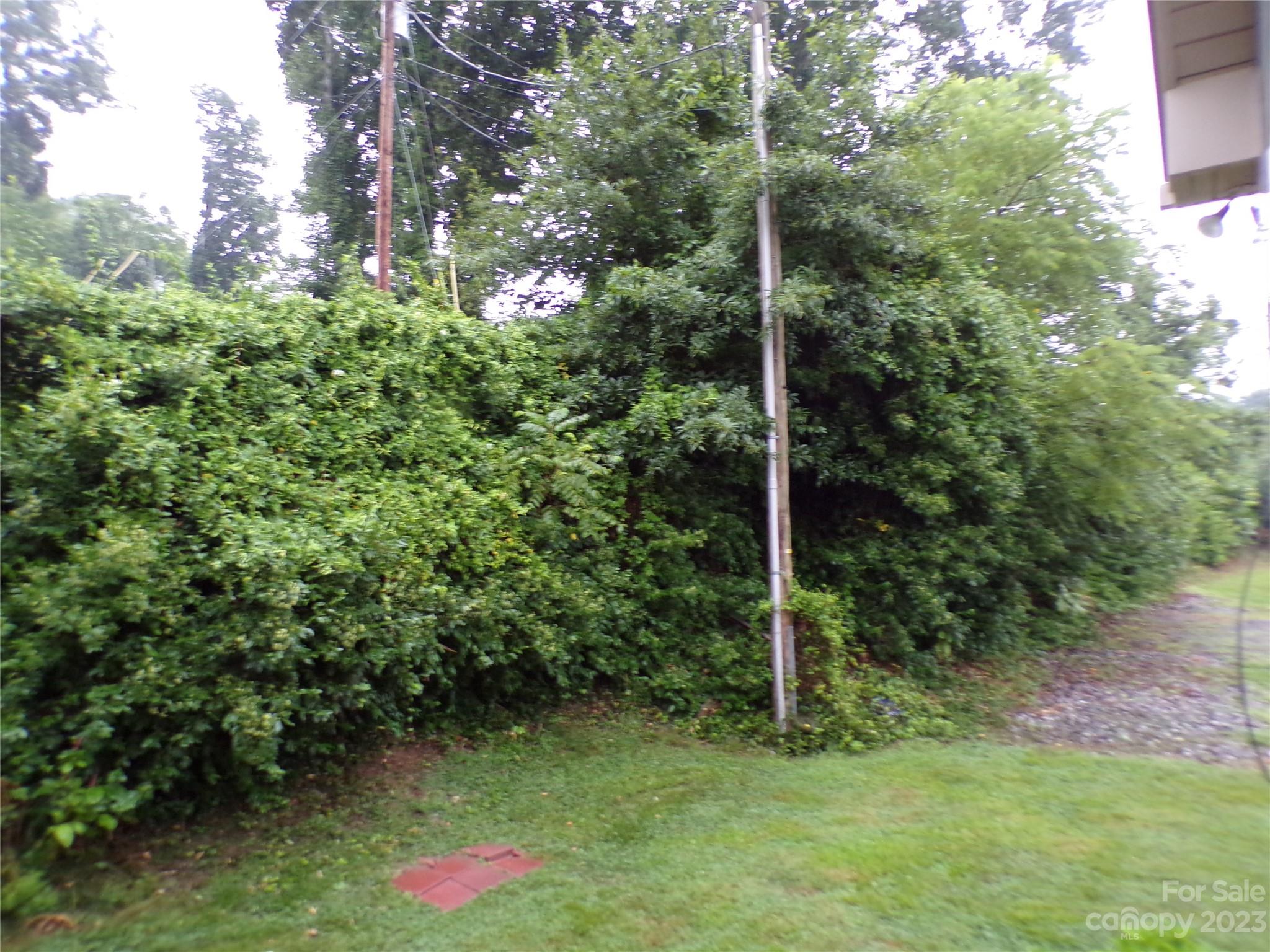 111 Pinkie Lane Canton NC 28716