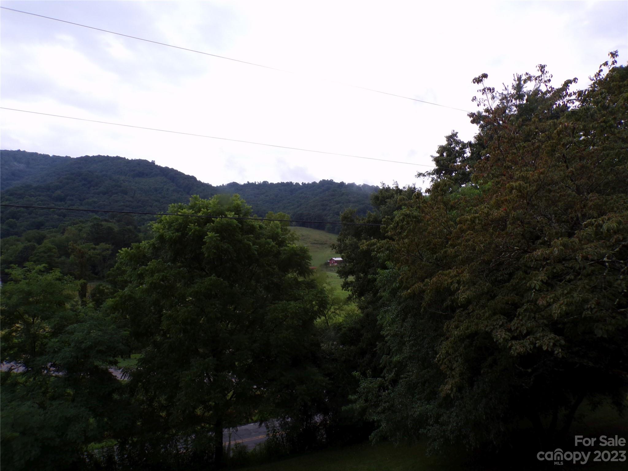 111 Pinkie Lane Canton NC 28716