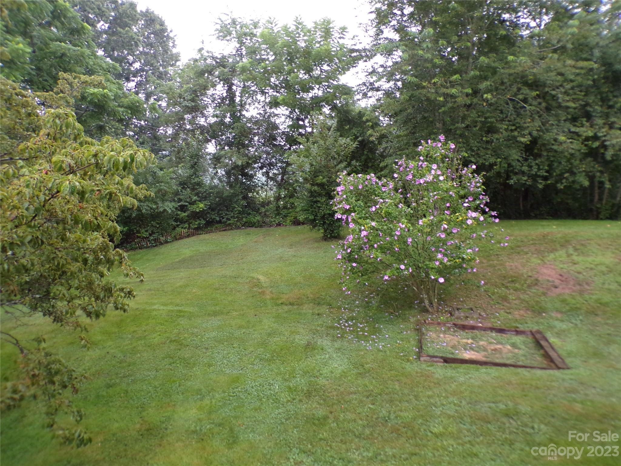 111 Pinkie Lane Canton NC 28716