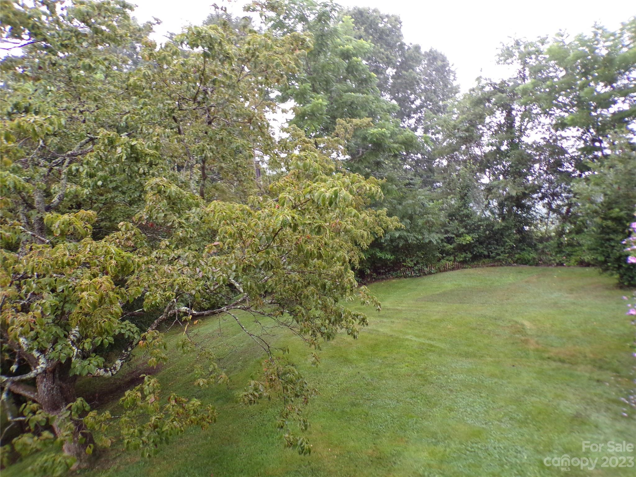 111 Pinkie Lane Canton NC 28716