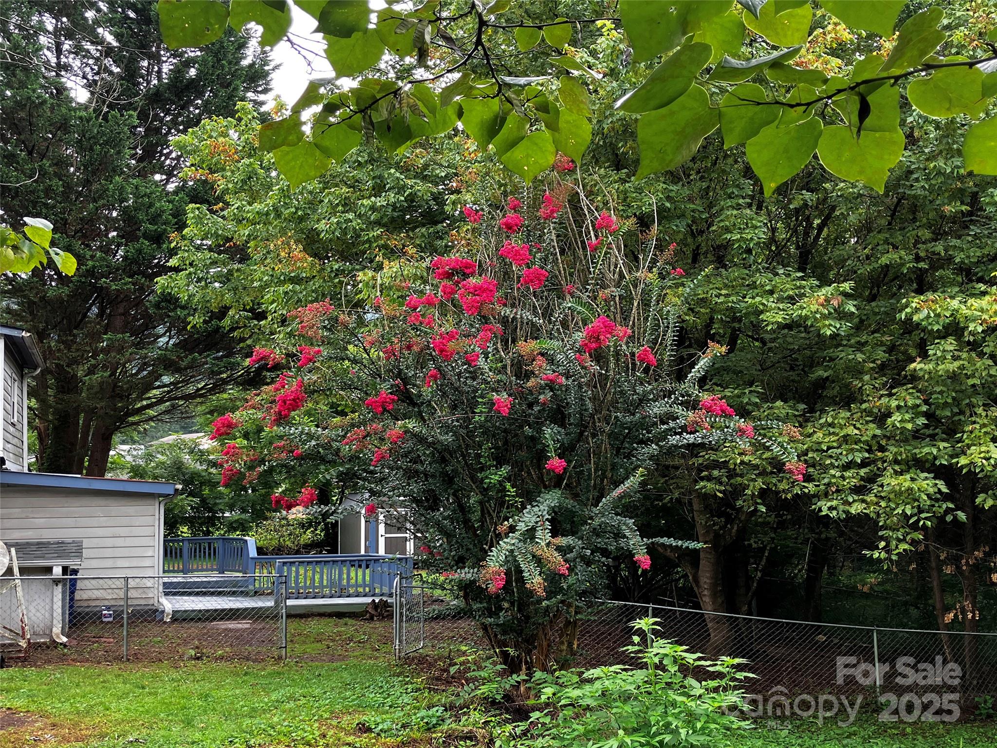 120 Harrison Street Swannanoa NC 28778