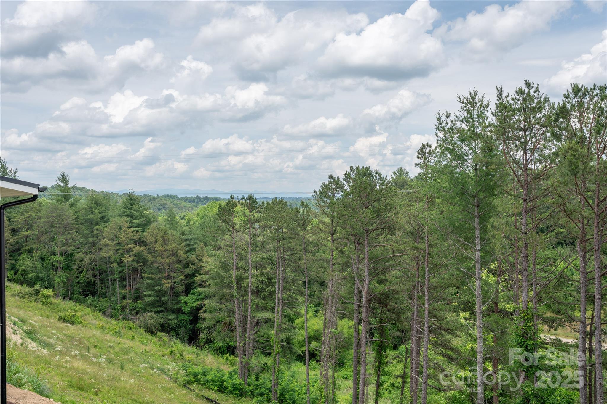 237 Westridge Farm Road Asheville NC 28804