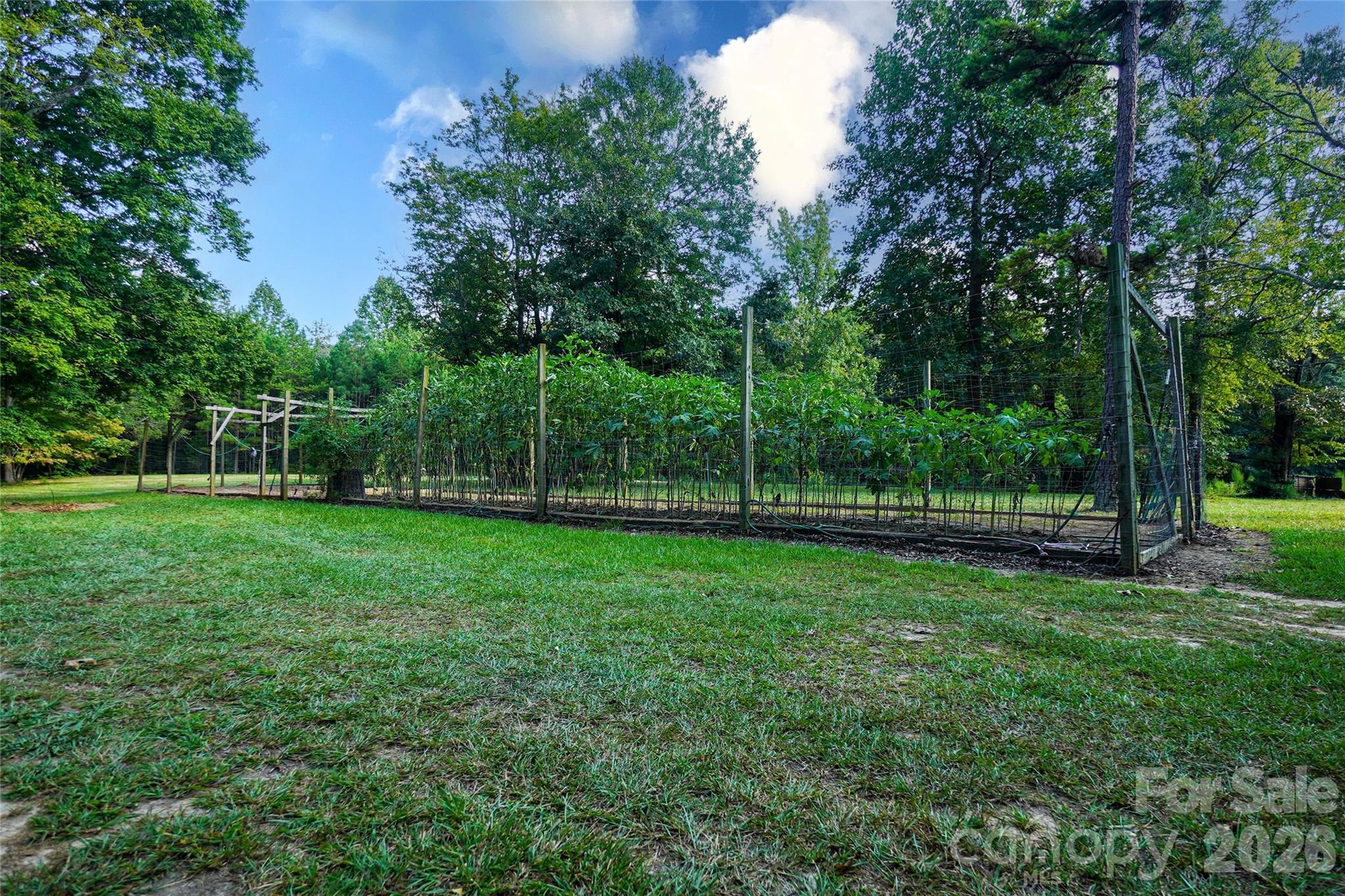 1115 John Short Road Indian Land SC 29707