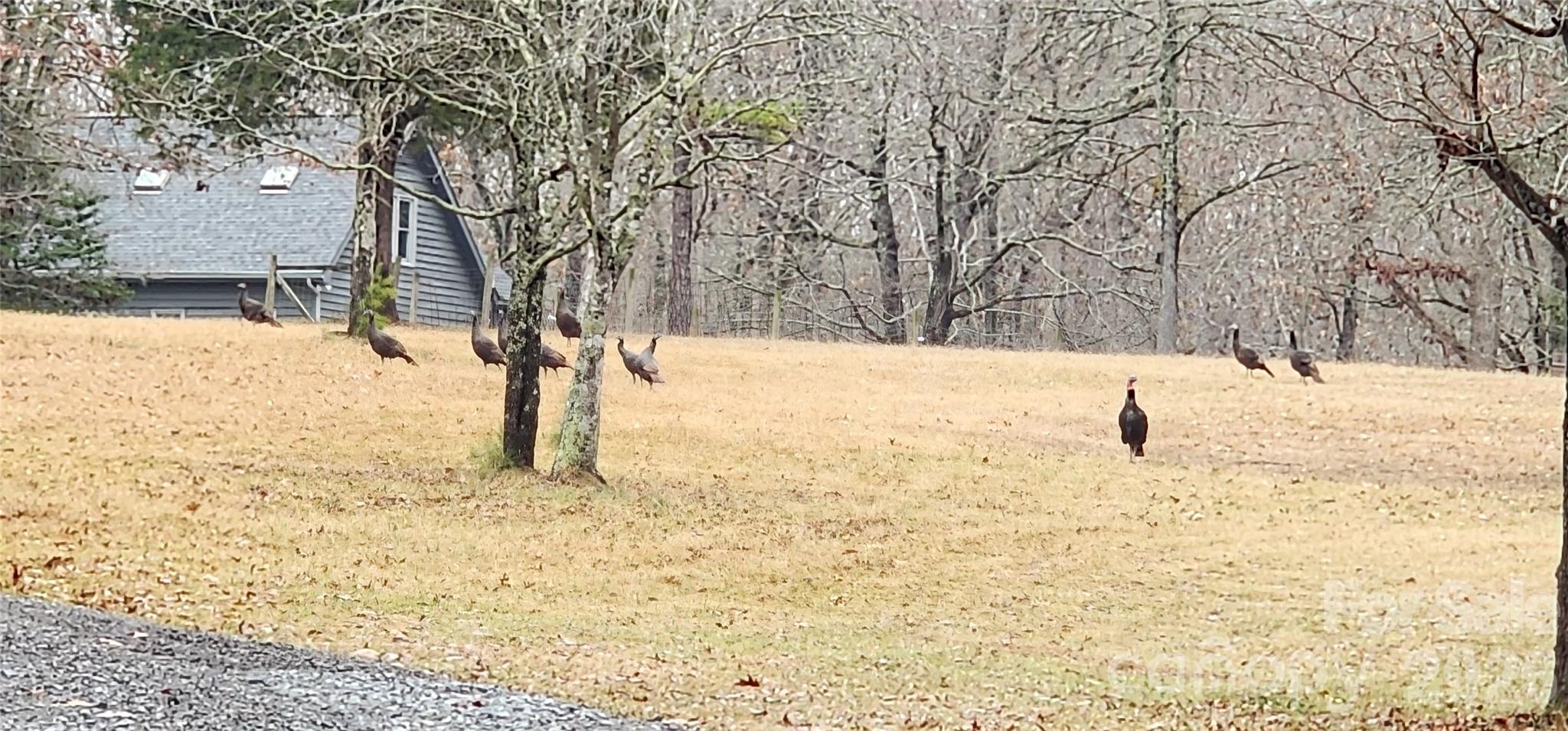 1115 John Short Road Indian Land SC 29707