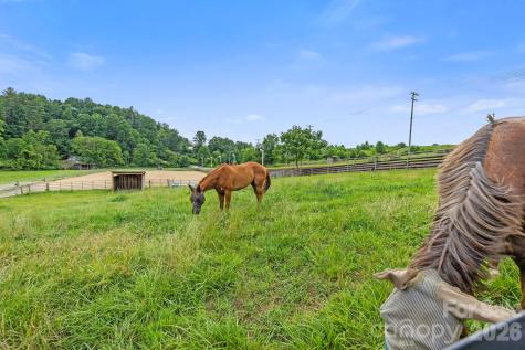 442 Blantyre Church Road Horse Shoe NC 28742