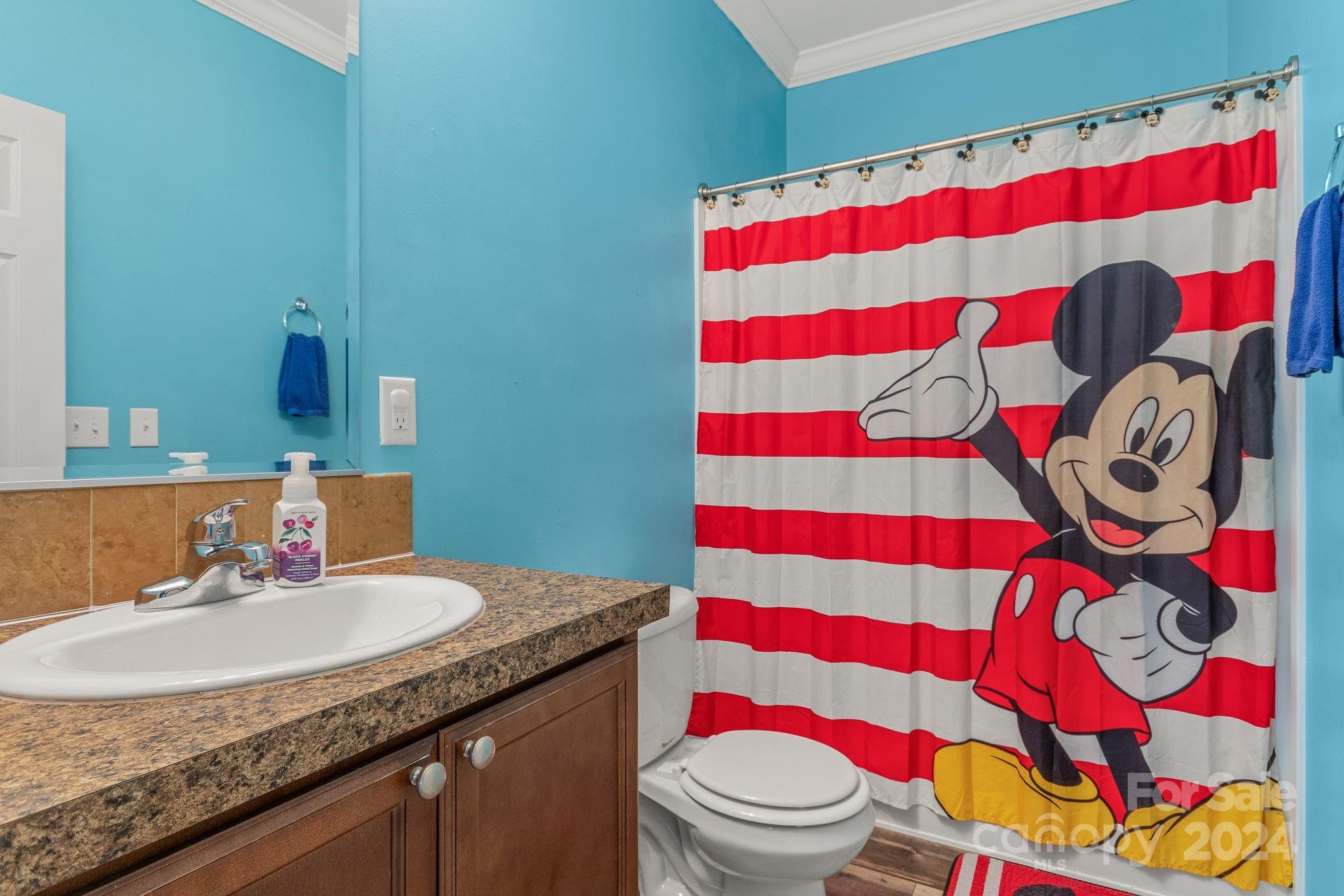 55 Indian Paintbrush Lane Alexander NC 28701