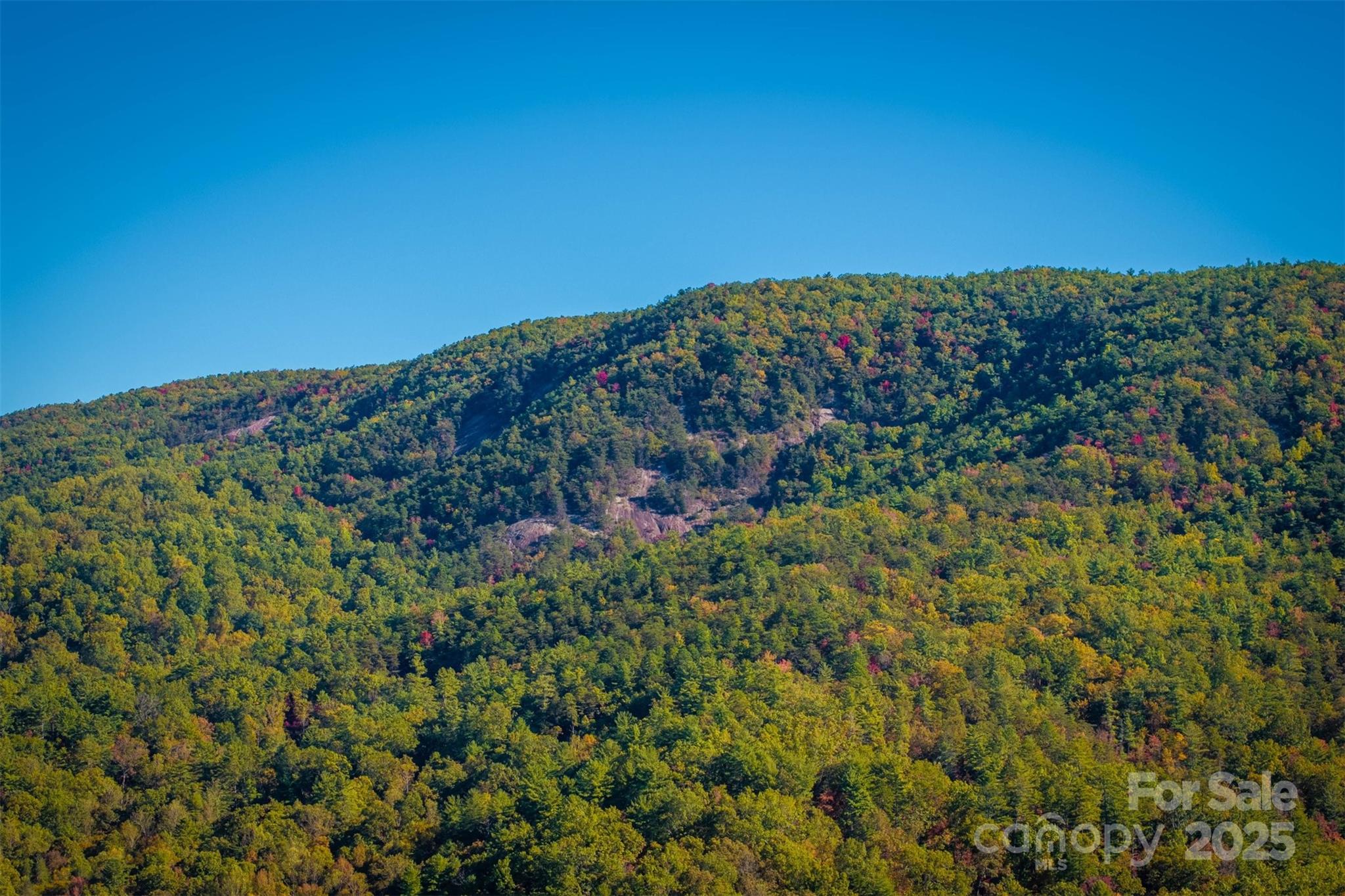 7376 Nc 181 Morganton NC 28655