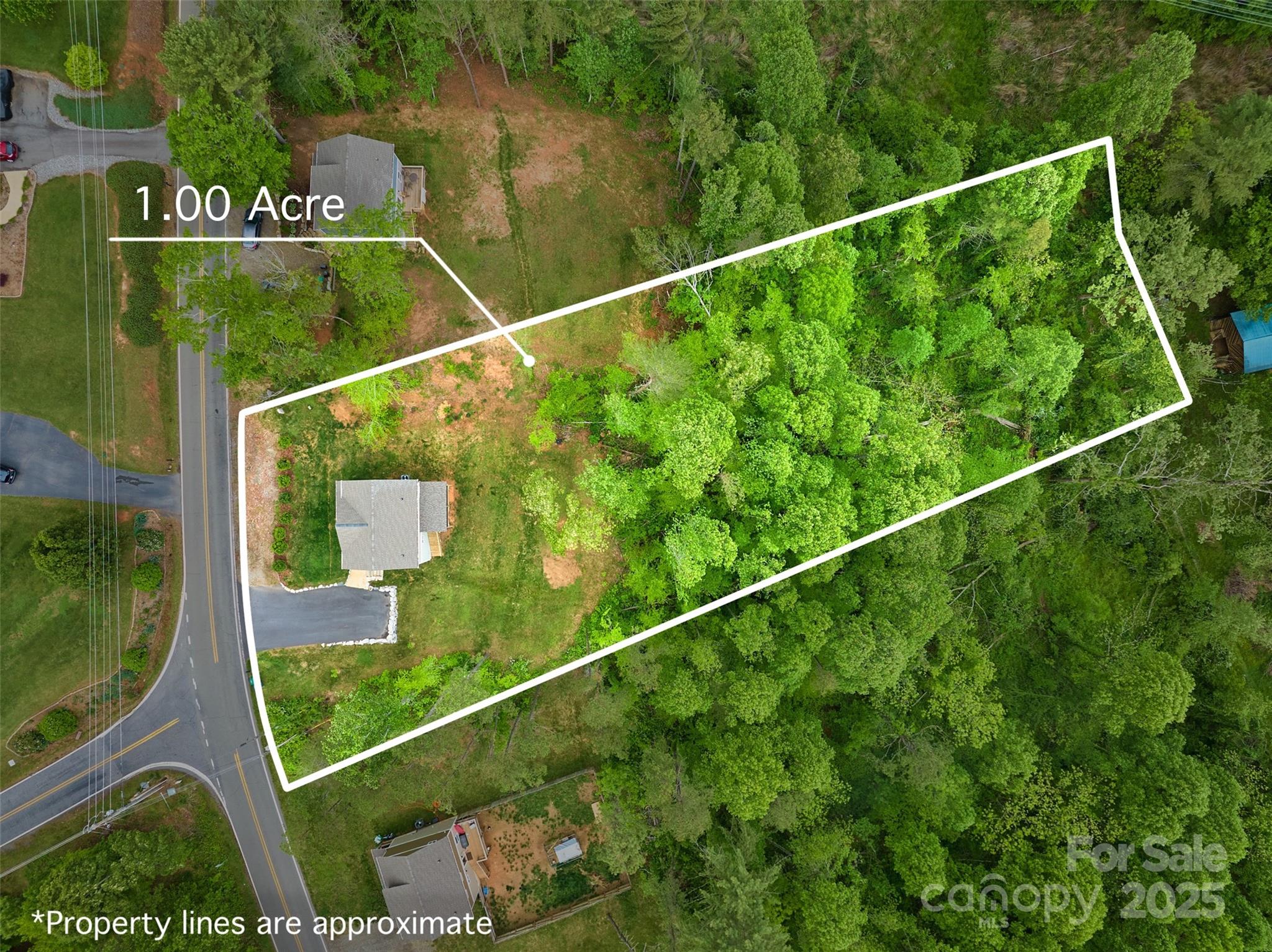 43 Clarks Chapel Extension Weaverville NC 28787