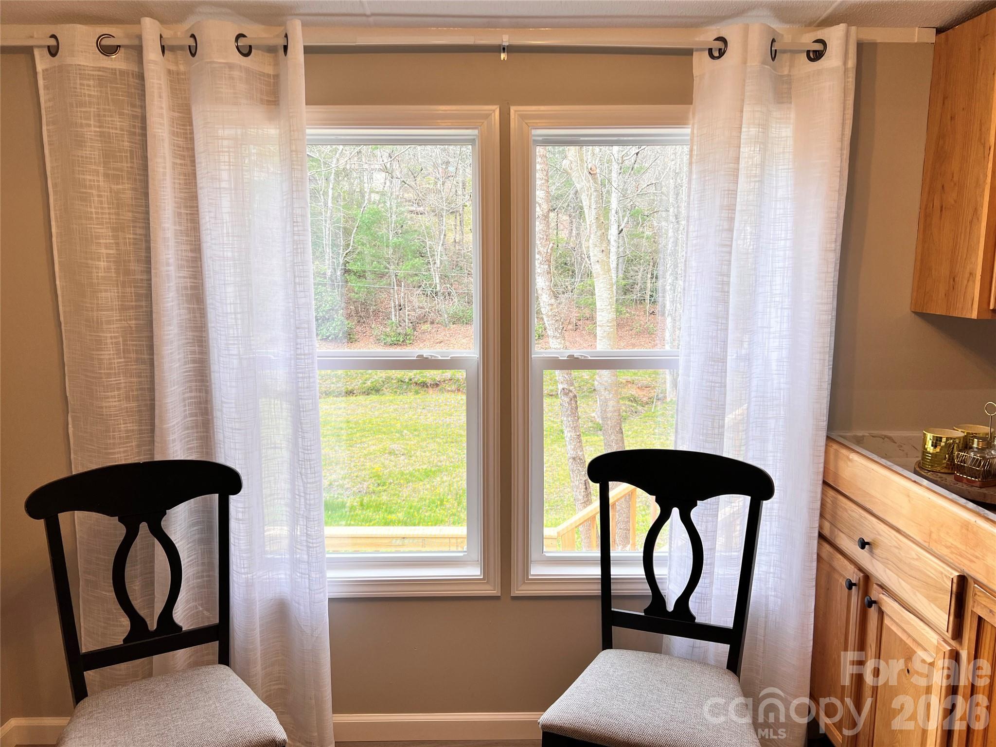 25 Overbrook Drive Saluda NC 28773