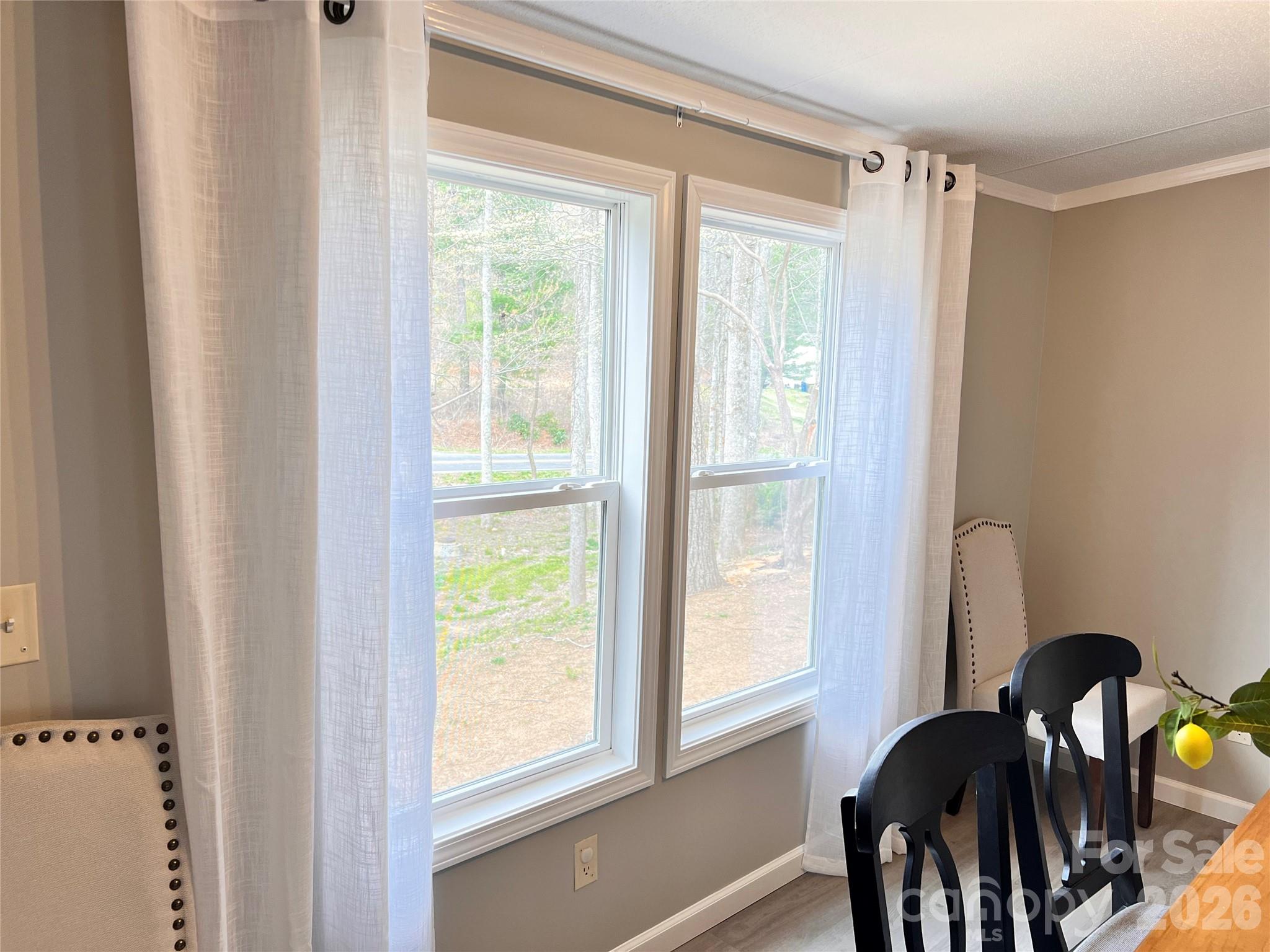 25 Overbrook Drive Saluda NC 28773