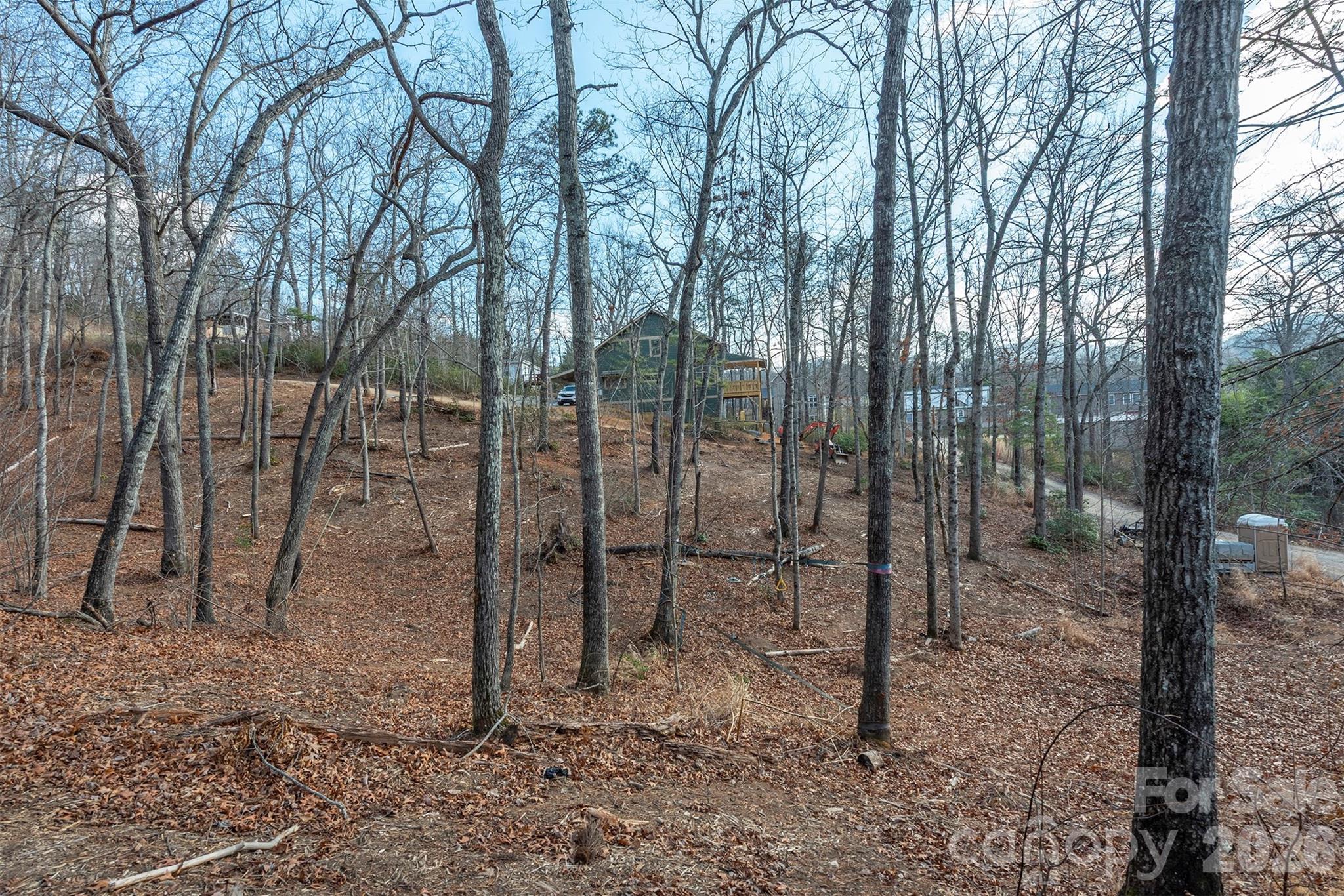 115 Bartram Way Black Mountain NC 28711