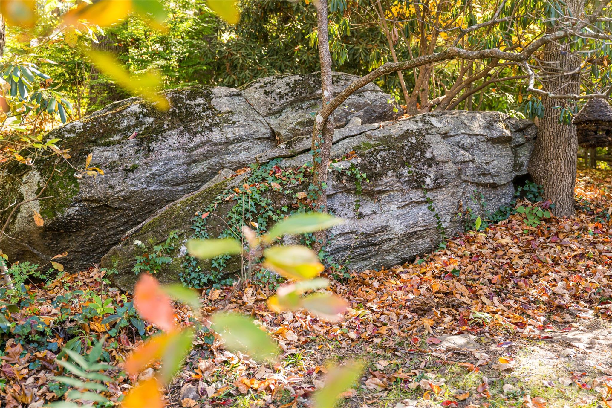 15 Meadow Lane Fairview NC 28730