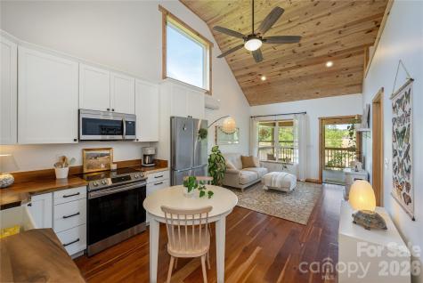 18 N Bear View Drive Hendersonville NC 28792