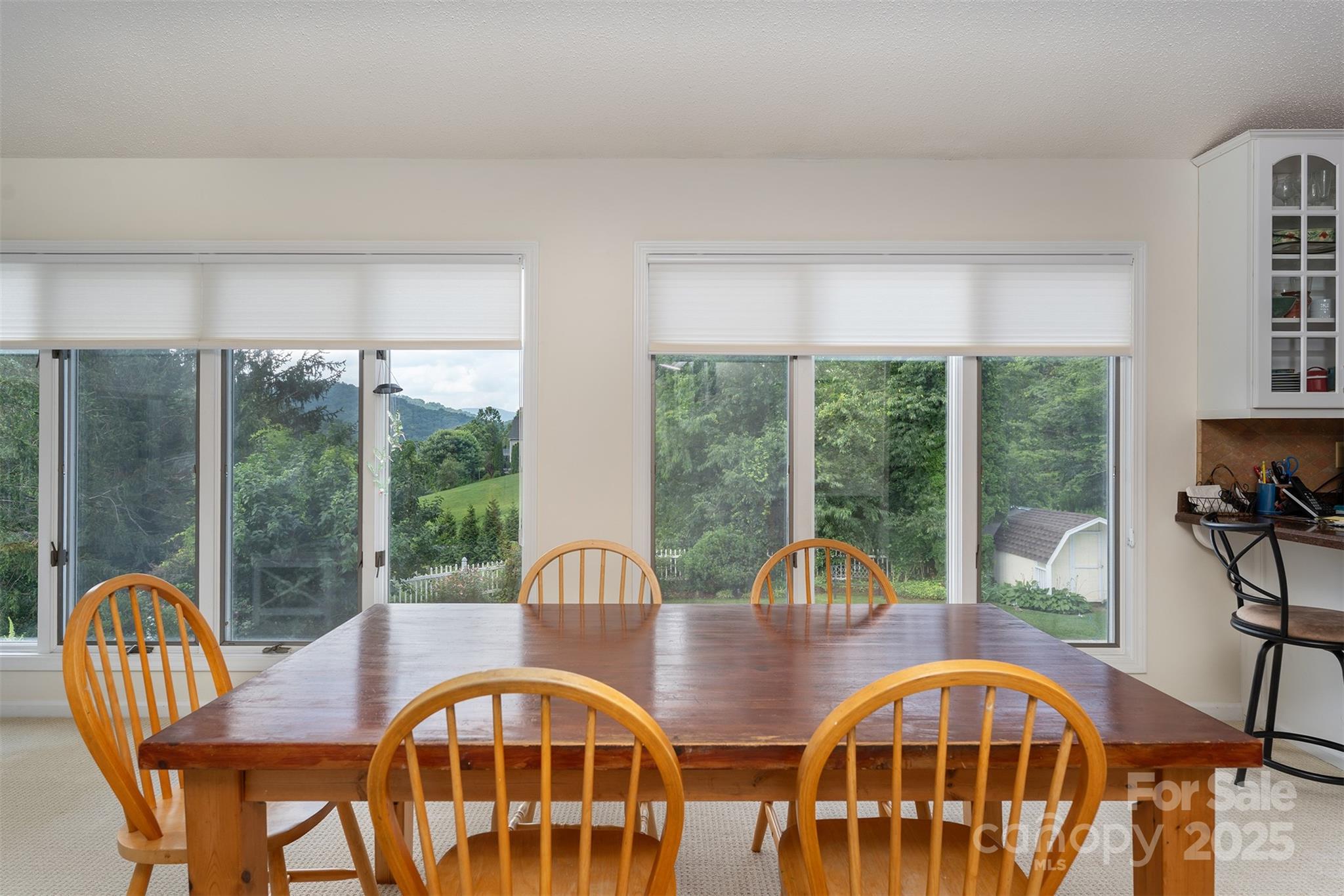 12 Apple Tree Way Asheville NC 28805