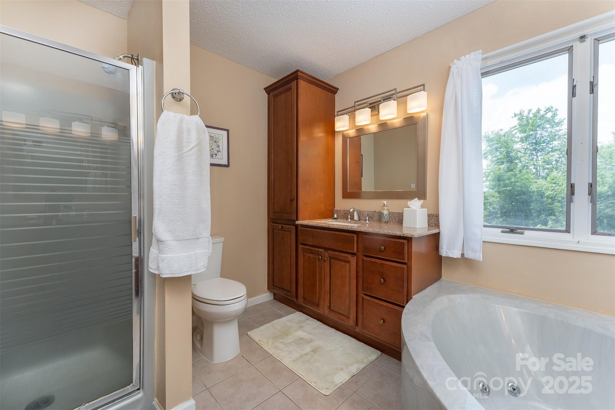 12 Apple Tree Way Asheville NC 28805