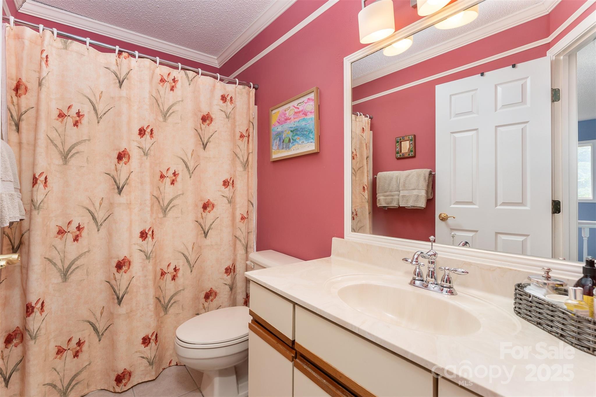 12 Apple Tree Way Asheville NC 28805