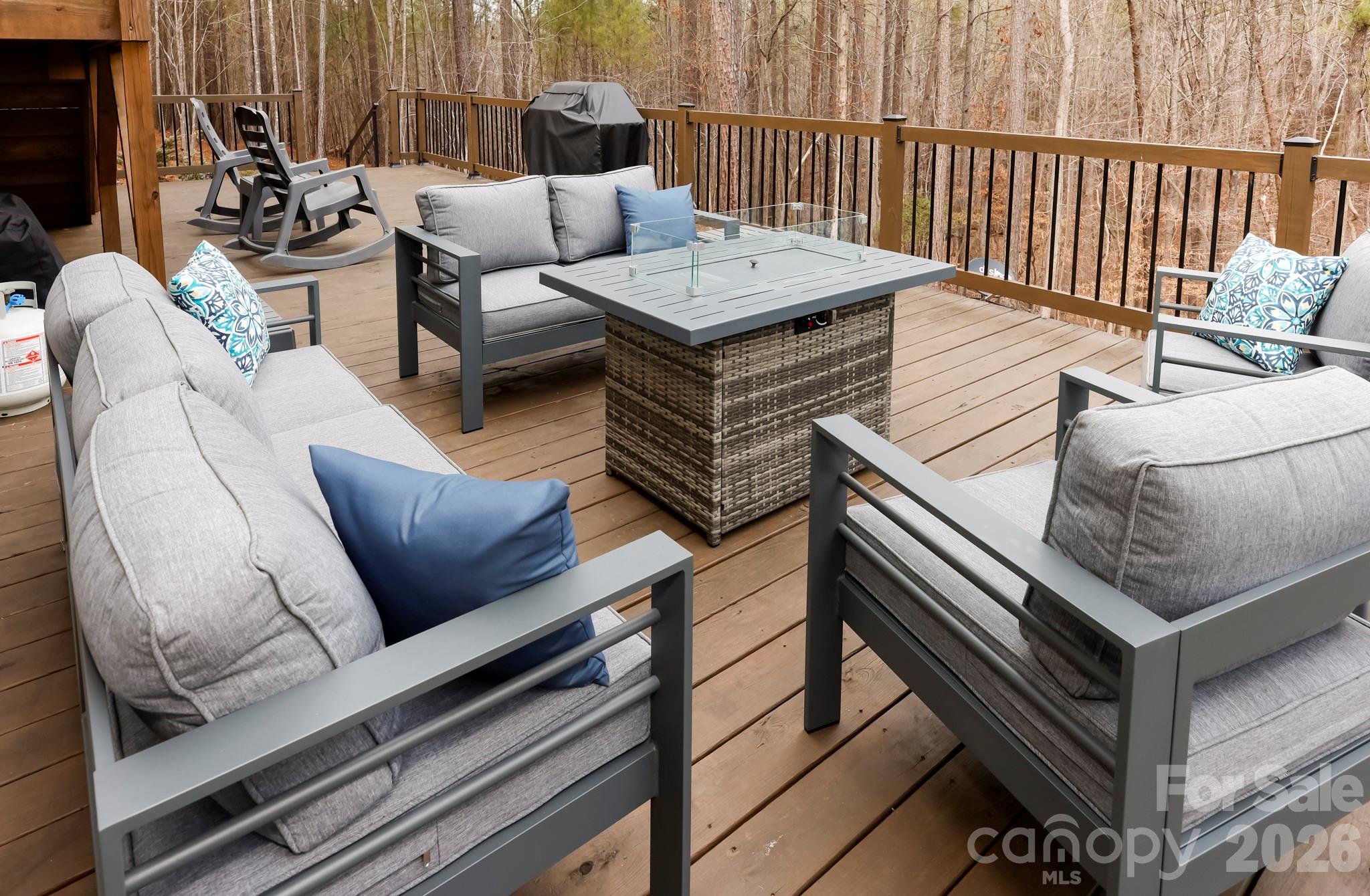 203 Burnt Chimney Lane Rutherfordton NC 28139