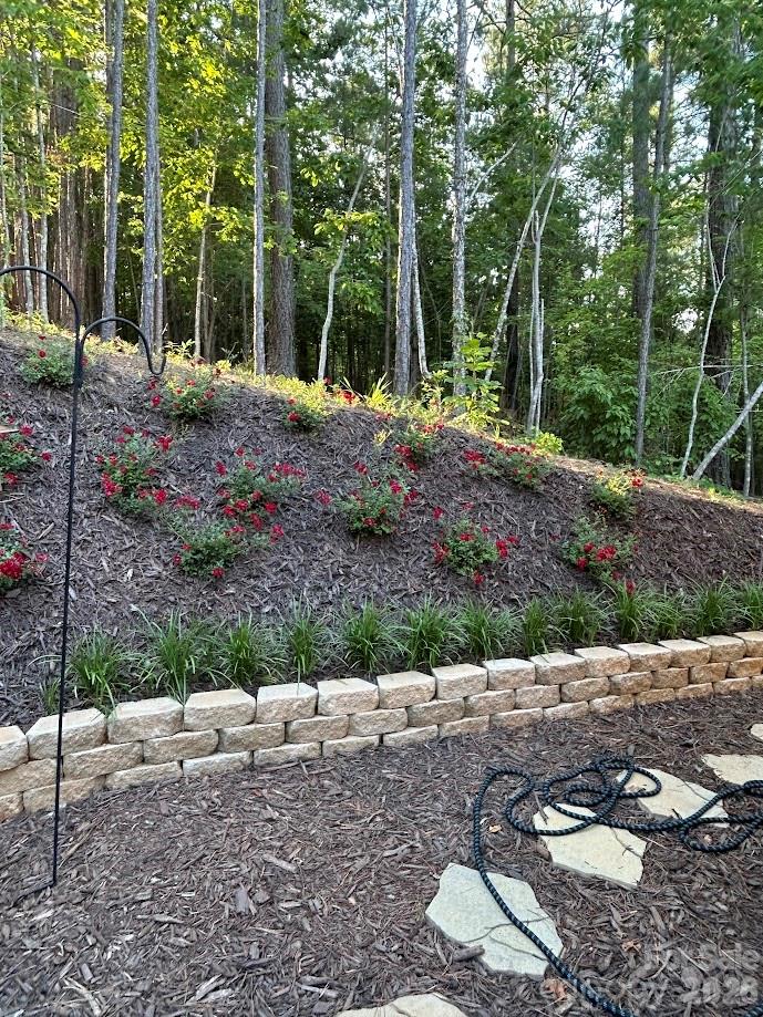 203 Burnt Chimney Lane Rutherfordton NC 28139