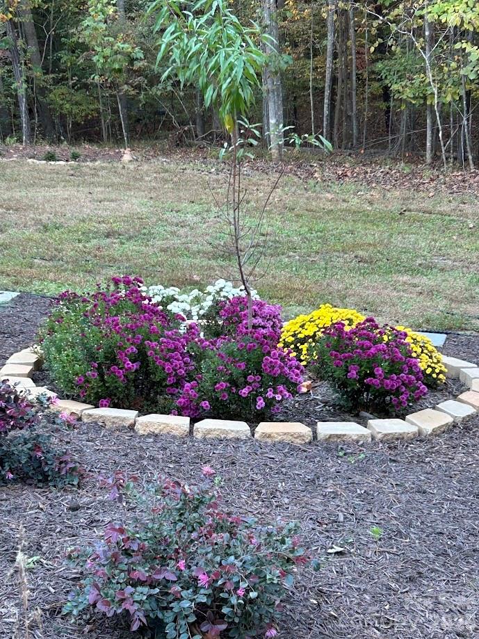 203 Burnt Chimney Lane Rutherfordton NC 28139